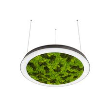 Donolux DL800S72WW Moss Black Подвесной светодиодный светильник, 72Ватт, D-800мм.