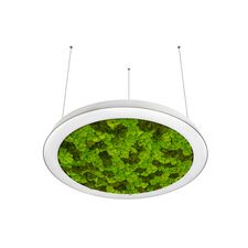 Donolux DL800S72WW Moss White Подвесной светодиодный светильник, 72Ватт, D-800мм.