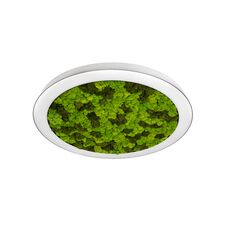 Donolux DL800C72WW Moss White Накладной светодиодный светильник, 72Ватт, D-800мм.