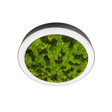 Donolux DL800C72NW Moss Black Накладной светодиодный светильник, 72Ватт, D-800мм.