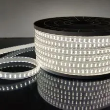 Elektrostandard a053653 LS011 220V/ Лента светодиодная Premium 220V 18W 180Led 2835 IP65, 6500K холодный белый, 50 м, двухрядная