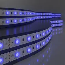 Elektrostandard a052976 5050 24V 60Led 14,4W IP65 / Лента светодиодная 60Led 14,4W IP65 синий