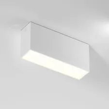 Elektrostandard a066996 25109/LED 10W 3000K / Светильник потолочный светодиодный / белый