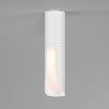 Elektrostandard a068289 25113/LED 7W 3000K / Светильник потолочный светодиодный / белый