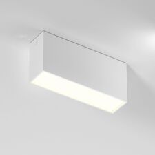 Elektrostandard a066996 25109/LED 10W 3000K / Светильник потолочный светодиодный / белый