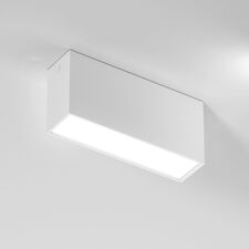 Elektrostandard a066995 25109/LED 10W 4000K / Светильник потолочный светодиодный / белый