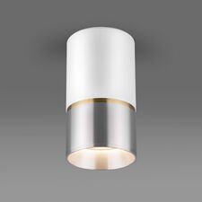 Elektrostandard a047730 DLN106 GU10 / Светильник накладной белый/серебро