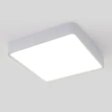 Elektrostandard a043017 DLS034 18W 4200K/ Светильник светодиодный стационарный белый