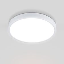Elektrostandard a043016 DLR034 24W 4200K/ Светильник светодиодный стационарный белый