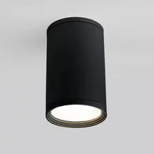Elektrostandard a056268 35128/H / Светильник садово-парковый Light 2101 черный