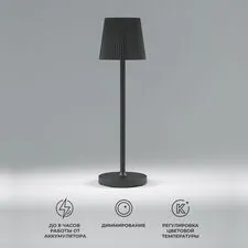 Elektrostandard a063970 TL70220/Светильник светодиодный настольный Mist черный