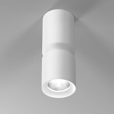 Elektrostandard a064727 25048/LED 12W 4000К белый / Светильник потолочный светодиодный