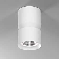 Elektrostandard a064730 25049/LED 12W 4000К белый / Светильник потолочный светодиодный