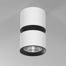 Elektrostandard a064731 25049/LED 12W 4000К белый/чёрный / Светильник потолочный светодиодный