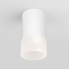 Elektrostandard a057157 35139/H/ Светильник садово-парковый со светодиодами Light  LED 2106 белый