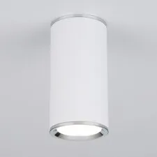 Elektrostandard a043967 DLN101 GU10 / Светильник накладной WH белый