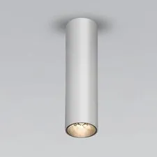 Elektrostandard a061535 Pika 6W (25031/LED)/Светильник накладной серебро