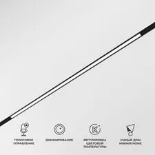 Elektrostandard a063540 85077/01 Slim Magnetic Умный трековый светильник 20W 2700-6500K Dim L02 (чёрный)
