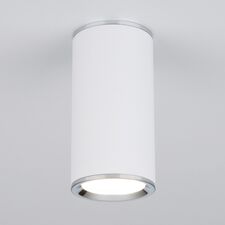 Elektrostandard a043967 DLN101 GU10 / Светильник накладной WH белый