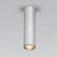 Elektrostandard a061535 Pika 6W (25031/LED)/Светильник накладной серебро