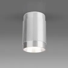 Elektrostandard a047742 DLN109 GU10 / Светильник накладной серебро