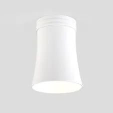 Elektrostandard a043164 DLN100 GU10 / Светильник накладной WH белый