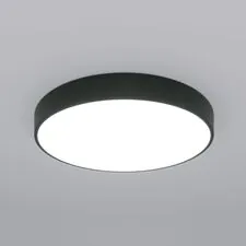 Eurosvet a063081 90320/1 / потолочный светильник / черный