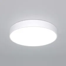 Eurosvet a063078 90320/1 / потолочный светильник / белый