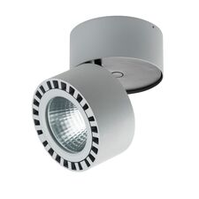 Lightstar 381393 Светильник FORTE IP65 LED 35W 3500LM 30G СЕРЫЙ 3000K