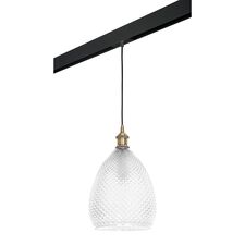 Lightstar PRO798021 Светильник д/1-фазн трека GENNI 1х40W E27 ЛАТУНЬ/ПРОЗРАЧНЫЙ/ЧЕРНЫЙ (798021+595007)