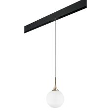 Lightstar PRO813023 Светильник д/1-фазн трека GLOBO 1х40W E14 ШАМПАНЬ/БЕЛЫЙ/ЧЕРНЫЙ (813023+595007)
