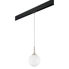 Lightstar PRO813033 Светильник д/1-фазн трека GLOBO 1х40W E14 ШАМПАНЬ/БЕЛЫЙ/ЧЕРНЫЙ (813033+595007)
