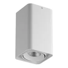 Lightstar 052336-IP65 Светильник MONOCCO LED10W 600LM 30G БЕЛЫЙ 3000K