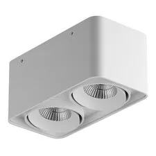 Lightstar 052326-IP65 Светильник MONOCCO LED 2х10W 1200LM 30G БЕЛЫЙ 3000K