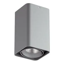 Lightstar 052339-IP65 Светильник MONOCCO LED10W 600LM 30G СЕРЫЙ 3000K