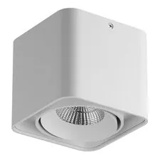 Lightstar 052316-IP65 Светильник MONOCCO LED10W 600LM 30G БЕЛЫЙ 3000K