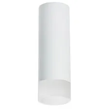 Lightstar R48631 Светильник RULLO HP16 (214486+202431)