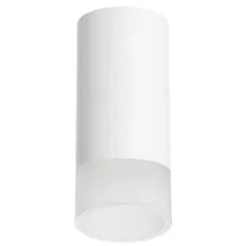 Lightstar R43631 Светильник RULLO HP16 (214436+202431)