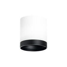 Lightstar R34863487 Светильник RULLO GX53 (213486+203487)