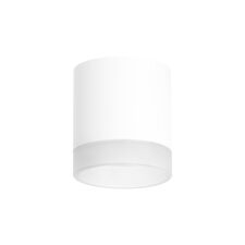 Lightstar R348680 Светильник RULLO GX53 (213486+202480)