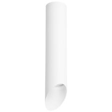 Lightstar R49636 Светильник RULLO HP16 (214496+201436)