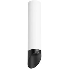 Lightstar R49637 Светильник RULLO HP16 (214496+201437)
