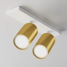 Maytoni Technical C051CL-U-2WMG Потолочный светильник FOCUS S GU10 2x10Вт