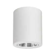 Arlight 021426 Светильник SP-FOCUS-R120-16W Day White (Arlight, IP20 Металл, 3 года) 021426