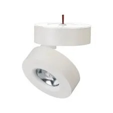 Arlight 025440(1) Светильник SP-MONA-SURFACE-R100-12W Warm3000 (WH, 24 deg) (Arlight, IP40 Металл, 3 года) 025440(1)