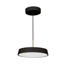 Arlight 033921(1) Светильник SP-ELEGANT-R300-17W Warm3000 (BK, 120 deg, 230V) (Arlight, IP20 Металл, 3 года) 033921(1)