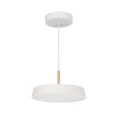 Arlight 033919 Светильник SP-ELEGANT-R300-17W Day4000 (WH, 120 deg, 230V) (Arlight, IP20 Металл, 3 года) 033919
