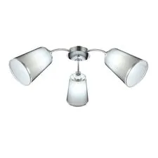 EVOLUCE SLE103002-03 Светильник потолочный Хром/Черный E14 3*40W