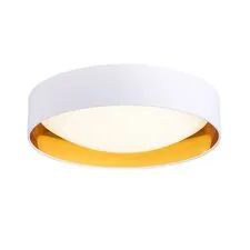 EVOLUCE SLE201122-01 Светильник потолочный Белый, Золото/Белый LED 1*24W 4000K