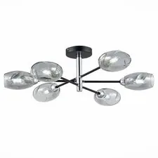 EVOLUCE SLE155512-06 Светильник потолочный Черный, Хром/Дымчатый E14 6*40W